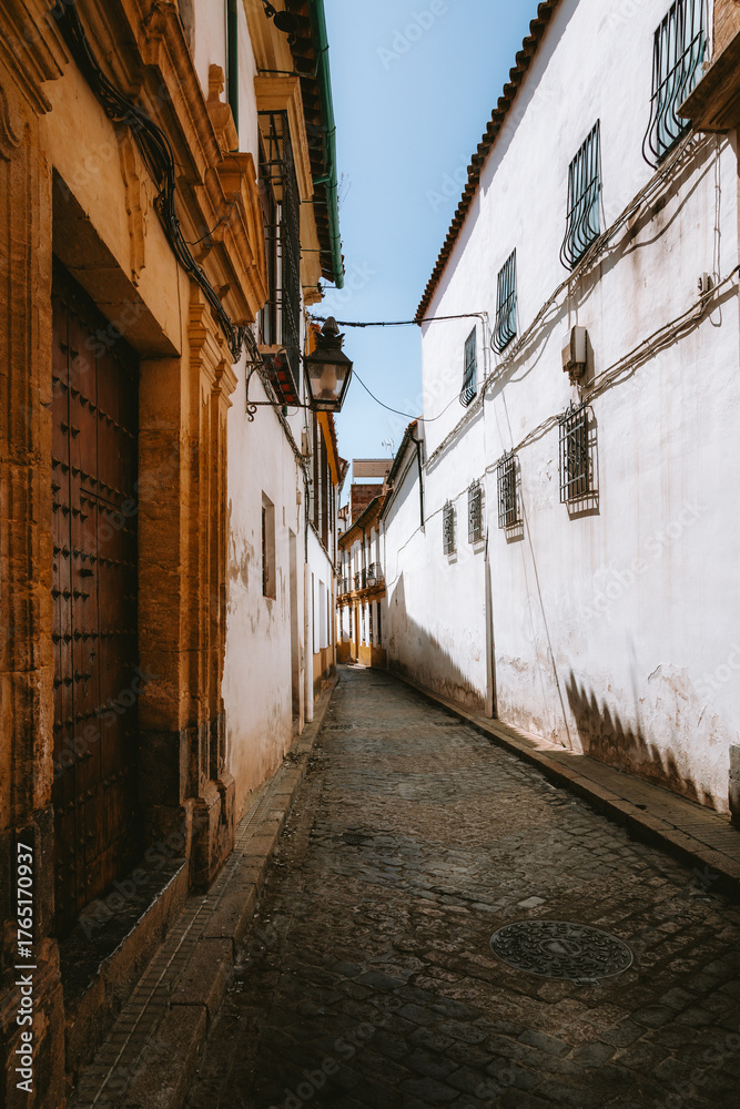 Fototapeta premium Narrow cobblestone alley winding between ancient white buildings and historic architecture, featuring an old wooden door and traditional street lamp, conveying a sense of timeless European charm