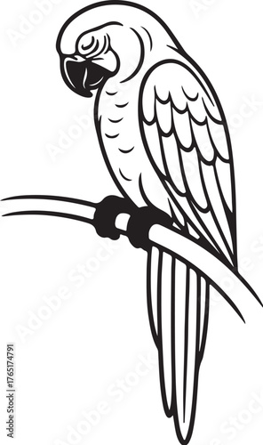 macaw_resting_on_branch_vector.eps