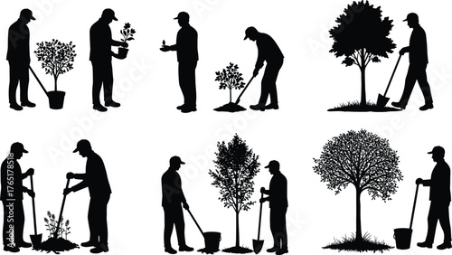 Silhouettes of people planting and growing trees in stages for environmental care, gardening, nature conservation, and vector illustration design use