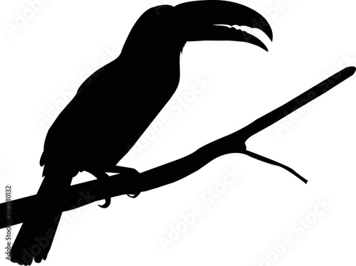 Silhouette of tropical bird with large beak perched on tree branch isolated on white background. Exotic toucan shape vector design for wildlife, jungle and nature themes illustration