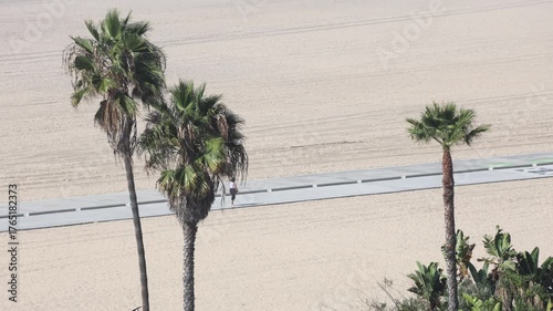 Beach Path Through Sand Beyond Palm Trees