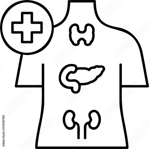 Line Art Endocrinology Icon