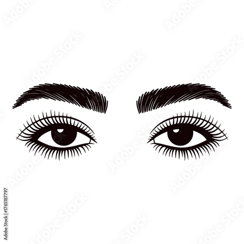 Elegant eyes with long lashes and well groomed eyebrows illustration