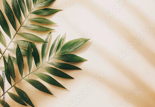 Green fronds on light beige with shadow play, serene