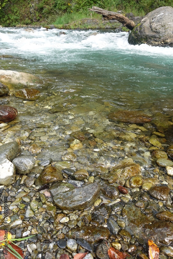 Fototapeta premium 日本の奥多摩の川の流れ