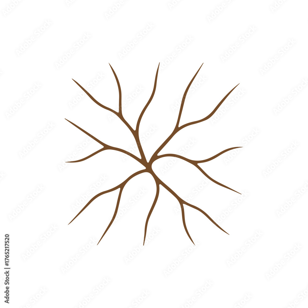 Obraz premium Interconnected abstract natural brown branch pattern on white background