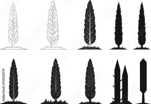Cypress tree illustrations, black silhouette artwork, vertical nature design, botanical structure concept, foliage variation, minimal style, landscape element, artistic layout, evergreen tree form