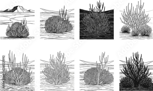 Desert plant silhouette, black nature graphic, spiky bush design, dry landscape illustration, cactus terrain vector, arid flora icon, stylized desert vegetation, minimal botanical scene