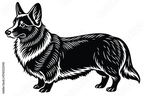 vector illustration of a fox