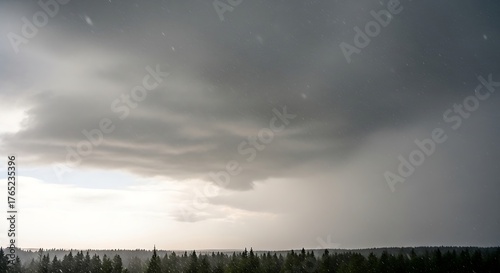 Stormy landscape featuring moody skies over a dense forest skyline