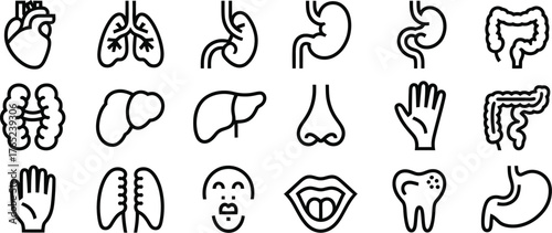 Medical organs line icon set, anatomy and body parts, kidney, bladder, pancreas, intestine, thyroid, pelvis, skeleton, joint, hand, nose, mouth, tongue, thin linear vector pictograms for healthcare