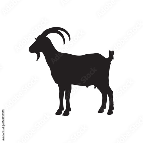 goat silhouette isolated on white on white back ground