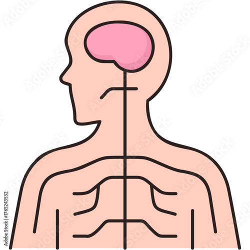 Nervous System Sticker