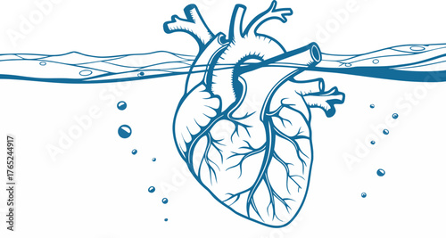 Stylized line drawing of an anatomical human heart submerged in water with bubbles rising to the surface.