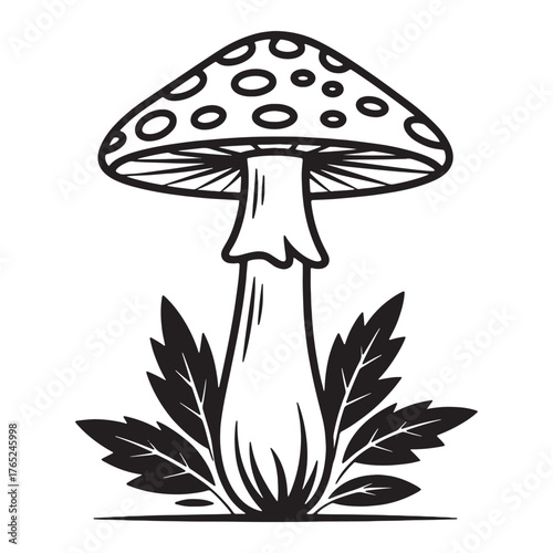 Detailed monochrome illustration of a toadstool with leaves for botanical illustration