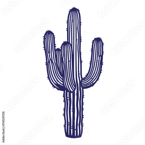 Vector illustration of a detailed blue cactus doodle outline on a white background