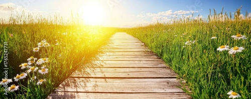 Serene Pathway Through Vibrant Green Meadow with Soft Sunlight