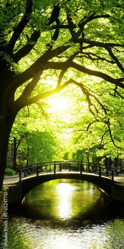 Serene Sunlit Park with Lush Green Trees and Tranquil Bridge View