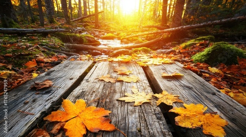 Serene Autumn Grove with Fallen Leaves and a Golden Sunset