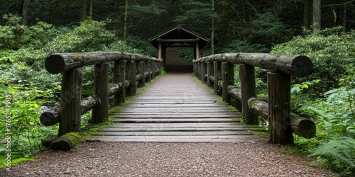 Peaceful Wooden Bridge Leading to Scenic Nature Path in Forest