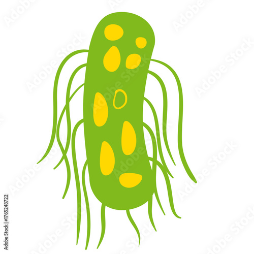 Salmonella Typhi Vector Illustration. Salmonella Typhi structure