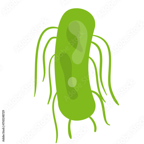 Salmonella Typhi Vector Illustration. Salmonella Typhi structure