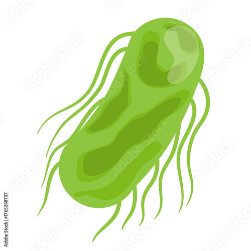 Salmonella Typhi Vector Illustration. Salmonella Typhi structure