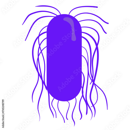 Salmonella Typhi Vector Illustration. Salmonella Typhi structure