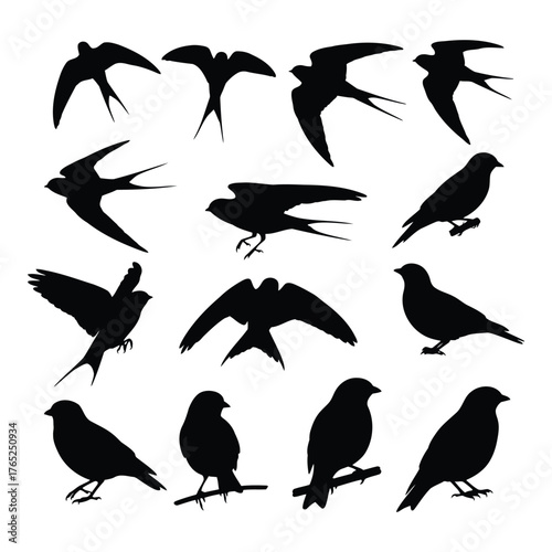 Collection of varied bird silhouettes representing different species in motion