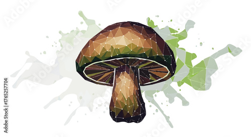 Digital Triangulation Mushroom Graphic Green Splatter