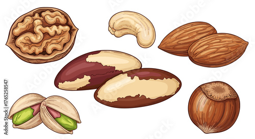 Assorted Nuts Platter for Healthy Snacking in a Nutritious Lifestyle, Delicious and Wholesome Gourmet Ingredients, Perfect for Vegan Diets, Raw Food and Culinary Art Presentations, Brown Tone Illustra