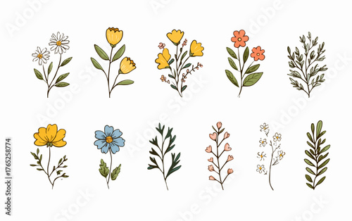 Una encantadora colección vectorial de delicadas flores y ramas botánicas dibujadas a mano, perfectas para diseños primaverales y veraniegos.