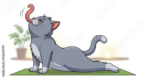 Comical Gray Cat Doing Intense Upward Facing Dog Lick