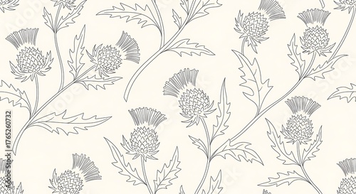 Thistle floral pattern outline illustration on seamless monochrome repeat