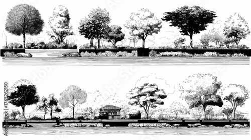 Una dettagliata illustrazione vettoriale in bianco e nero che mostra diverse specie di alberi e elementi paesaggistici per progetti architettonici.