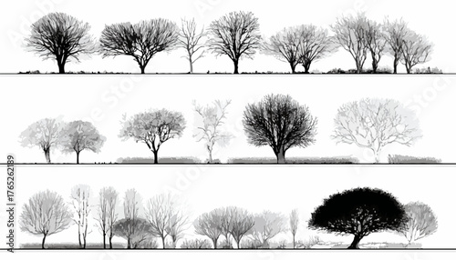 Illustrazione vettoriale di alberi senza foglie, perfetti per progetti architettonici o paesaggistici con un tocco minimalista e stilizzato.