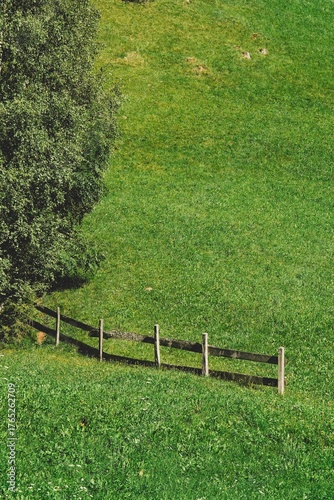 Fototapeta Naklejka Na Ścianę i Meble -  wooden fence in the park