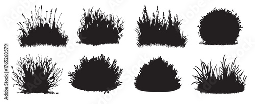 Set of Black silhouette of various bushes and shrubs isolated on white background, graphic illustration. concept of plant, nature, garden landscaping, icon, design element