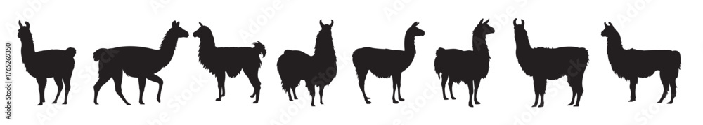Fototapeta premium set of llama silhouettes
