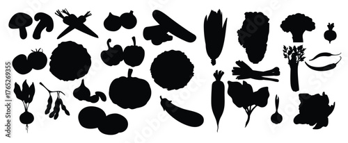 set of organic vegetables vector illustration
