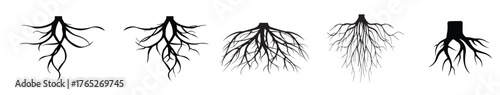 set of tree roots vector silhouette