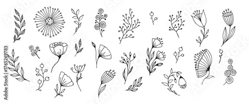 set of hand drawn flower and branches doodle 