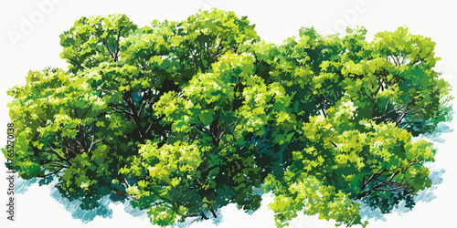 Wektorowa ilustracja przedstawiająca grupę drzew o bujnych, zielonych liściach, idealna do projektów graficznych związanych z naturą i ekologią.