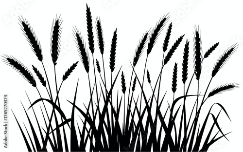 Wild Grass Silhouette Illustration – Tall Prairie Plants with Feathery Tops, Natural Field Vegetation for Botanical, Countryside, and Outdoor Design Themes