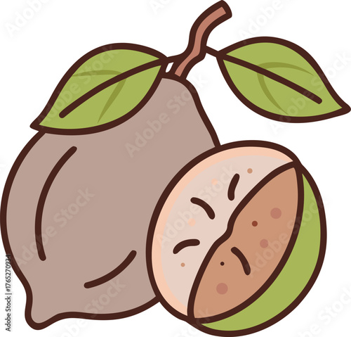Illustration of a whole and half nutmeg with leaves on a branch. The outer shell is brown and smooth, while the inside reveals a textured seed.