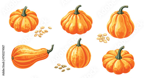 Various orange pumpkins and seeds in a beautiful autumn composition.