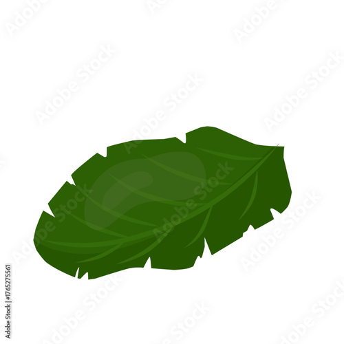 Vibrant green leaf vector illustration, botanical element isolated on white background
