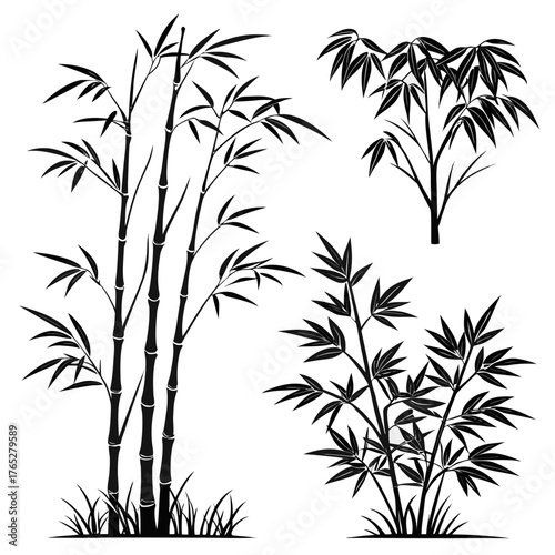 Black bamboo stalks and leaves silhouette on white background