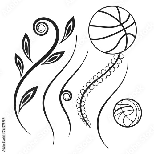 Black line art basketballs and floral swirls on white
