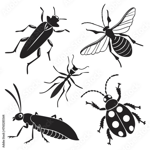 Five Black Insect Silhouettes on White Background beetle 2